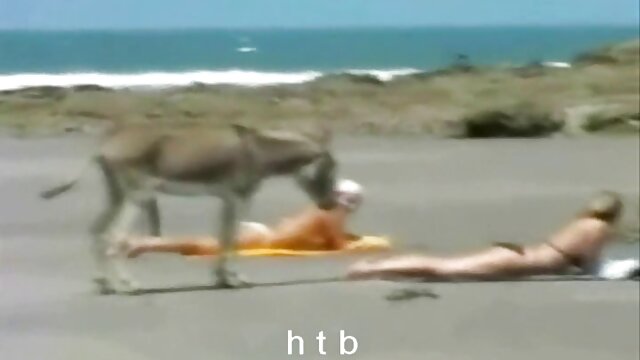 hot all Girl filme pornô brasileirinho Tag Crew a lutar